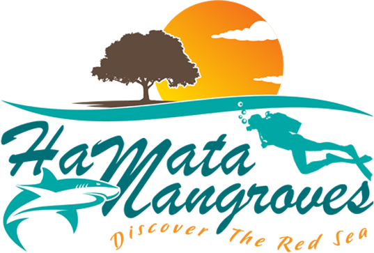 Hamata ManGrooves Logo