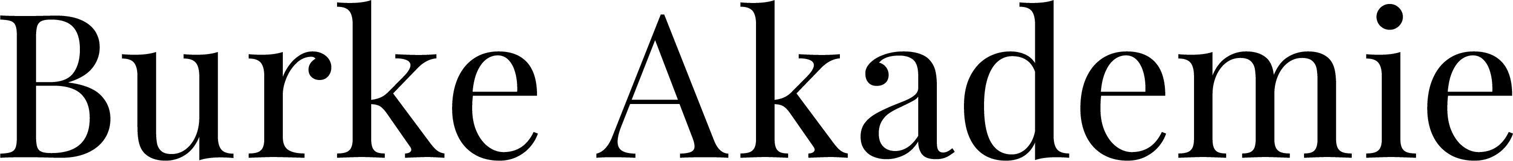 Burke Akademie Logo